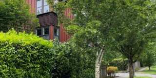 6005 Fauntleroy Way SW #A 6005 Fauntleroy Way SW #A Gallery 1