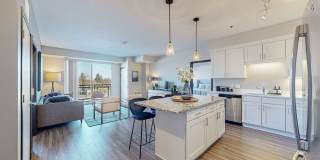 The Shoreham On France Gallery 25