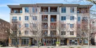 Great Condo For Rent Great Condo For Rent Gallery 1