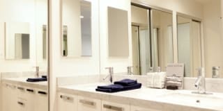 409 Palm Drive Gallery 4