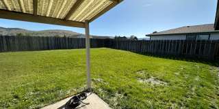 6209 Onyx 6209 Onyx Gallery 19