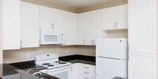 Woodland Meadow Gallery 13