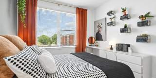 Cavella Gallery 10