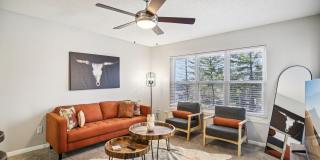 Harmony on Main Gallery 14