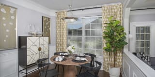 Lake Clearwater Gallery 22