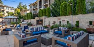 Vue Issaquah Gallery 10