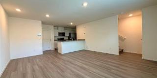 4824 Orchid Ridge Avenue Gallery 5