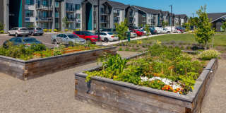 Prose Battle Ground Gallery 36