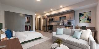 Broadstone Vin Gallery 29