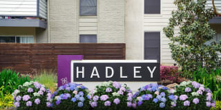 Hadley at Bellmar Gallery 11