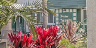 Palm Court Gallery 7