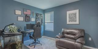 12634 CACAO TREE Trail Gallery 23