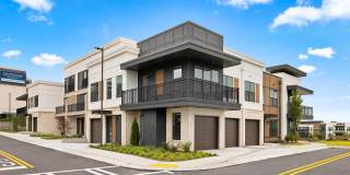 Ellison at The Exchange Gallery 49