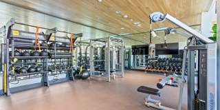 Array La Mesa Gallery 2