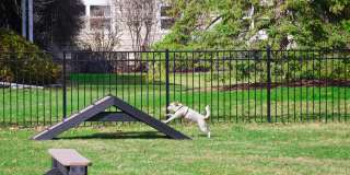 Whethersfield Gallery 22