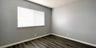 Summer Woods Gallery 27