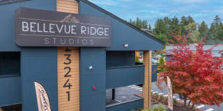 Bellevue Ridge Gallery 3
