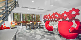 The Carter on the Park Gallery 9