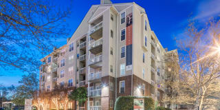 Rosslyn Heights Gallery 89