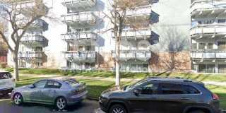 Beautiful 1 Bed 1 Bath in Capitol Hill (Water/sewer and Trash Utilities Included!) Gallery 5