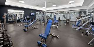 TAVA Waters Apartments Gallery 52