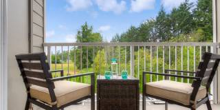 Seasons at Lea Hill Gallery 25