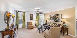 Hollis 7601 Gallery 31