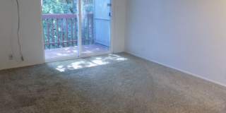 Winter Special-$500 Off-Spacious Three Bedroom, One & half Bathroom Townhouse Condo! Gallery 28