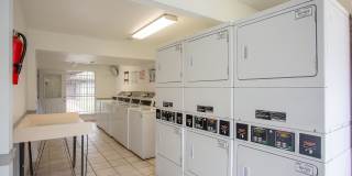 Ashford Willow Falls Gallery 26