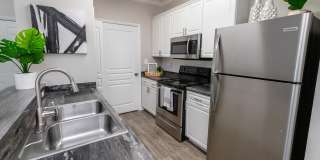 Elevate 155 Gallery 3