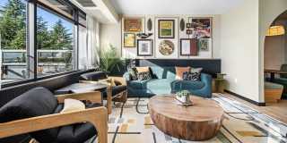Swell Gallery 30