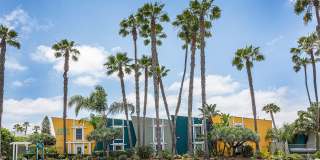 Aztec Pacific Gallery 52