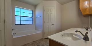 NEW IN MANAGEMENT - AVAILABLE NOW! Gallery 19