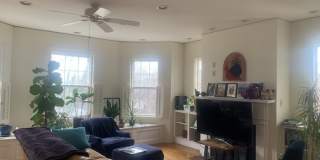 41 Linnaean Street Gallery 11