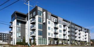 The Lucile Gallery 36