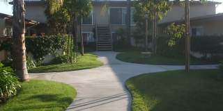 2616A Gallery 11