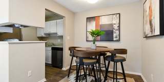 The Forest Gallery 4