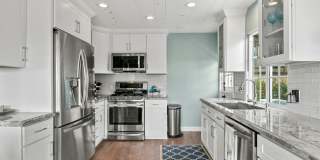 Virginia Way - Mohajer Unit A Gallery 14