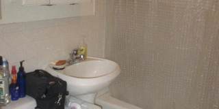 Great 3 Bed Available 6/1/26 Gallery 12