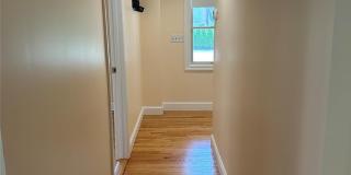 162 Spring Road Gallery 11