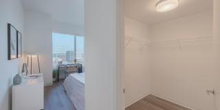 The Carson Gallery 14