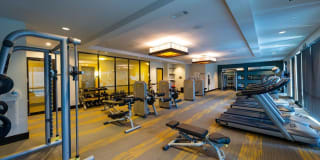 Virage Gallery 17
