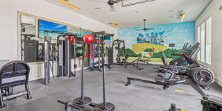 Range West Gallery 7