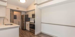 Lakeshore at Preston Gallery 77