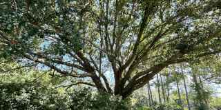 ****AVAILABLE NOW**** Gallery 15