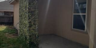 1121 Dixon Circle Gallery 28