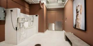 Arkadia West Loop Gallery 11