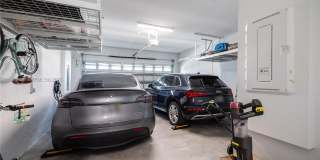 13939 Prickly Cone Cv Gallery 21