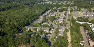 Pear Orchard Gallery 32