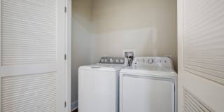 Rye House Gallery 38